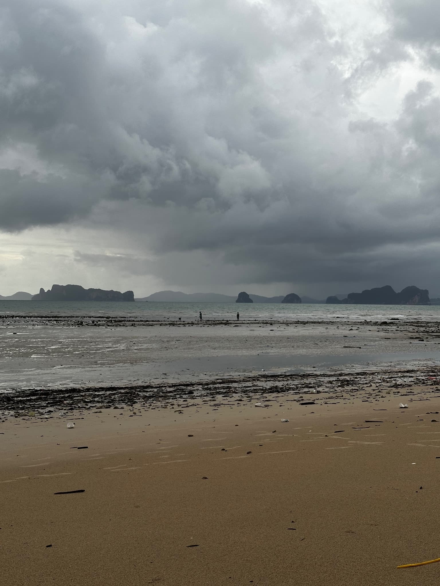 a lonely beach
