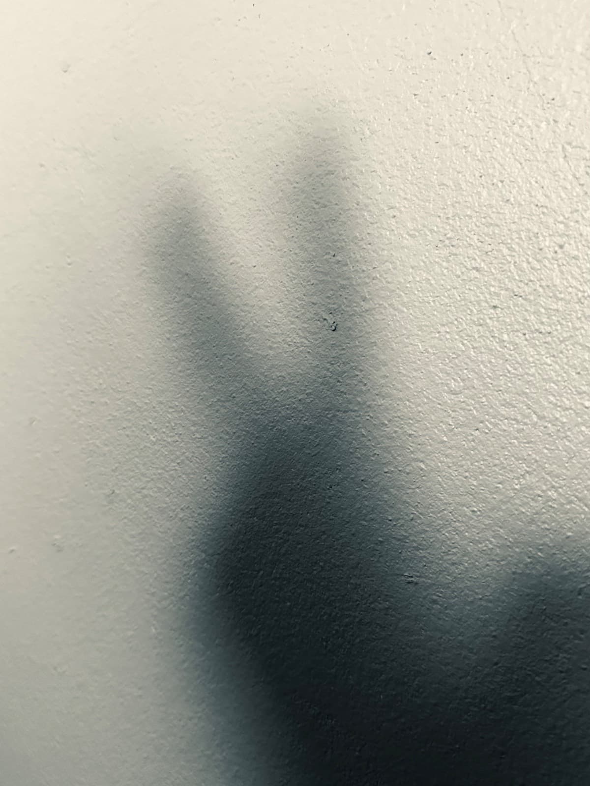 Shadow of hand on wall