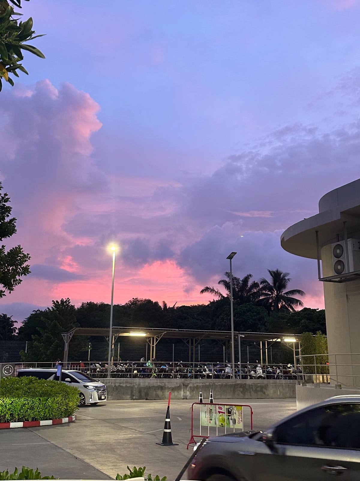 pink sky behind the mall