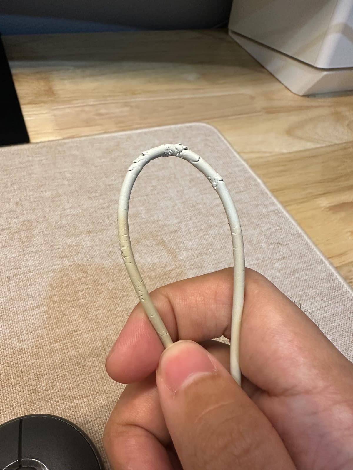 Chewed-up iPhone charger cable